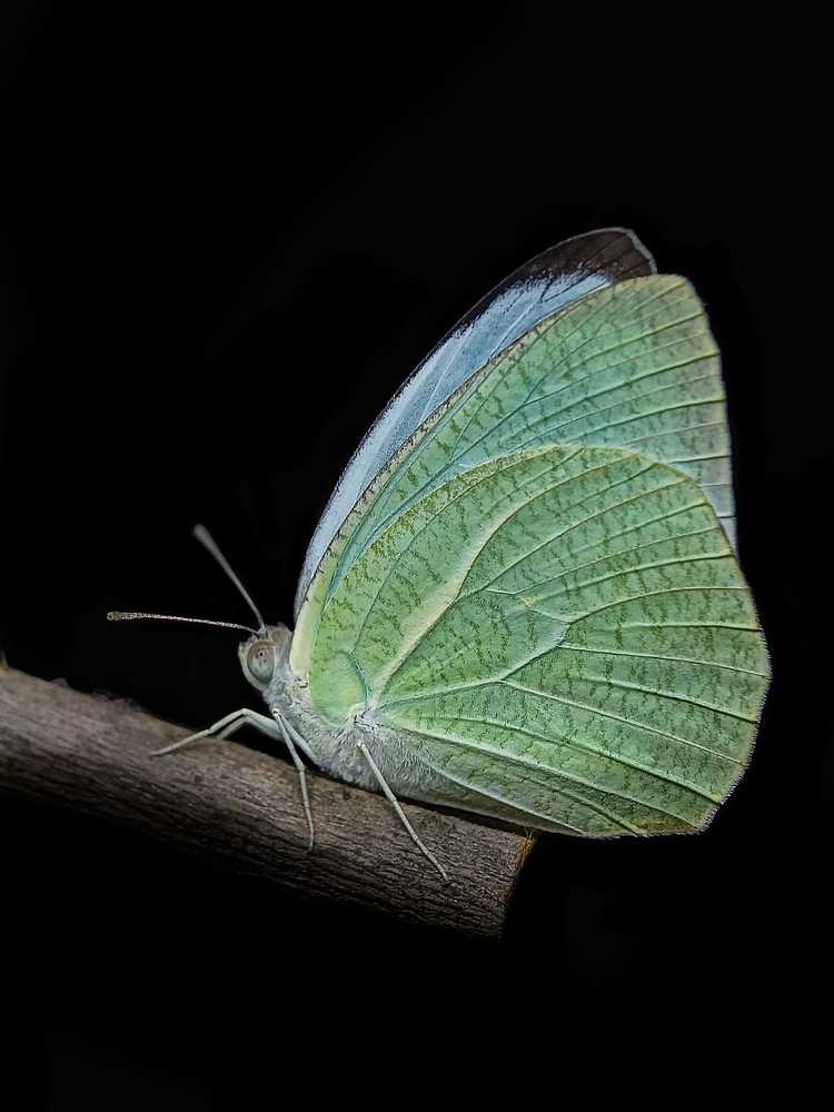 Photograph by Meeha begum N