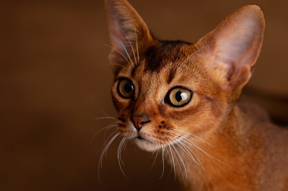 Photograph by Maria Matvienko