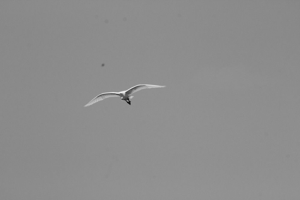 Photograph by RAMPRAKASH GNANM