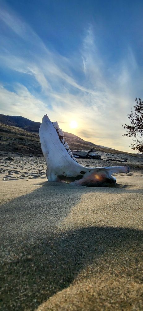 Photograph by Надежда