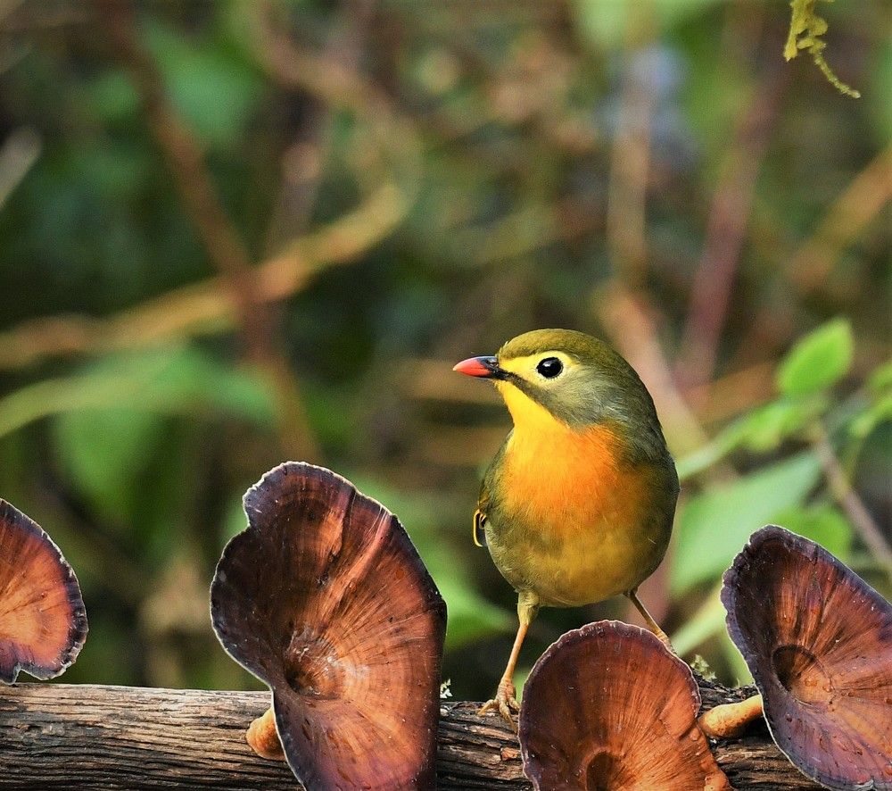 Photograph by Preet saluja