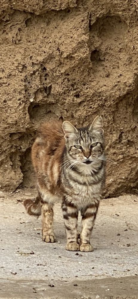 Photograph by Agnes Danielsson