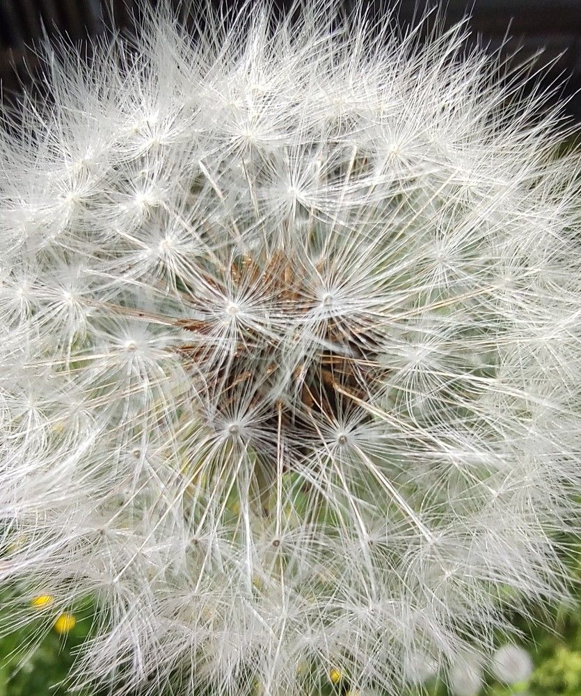 Photograph by Elena Chandran