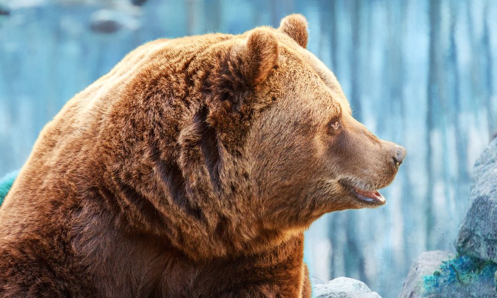 Photograph by Анна Малютина