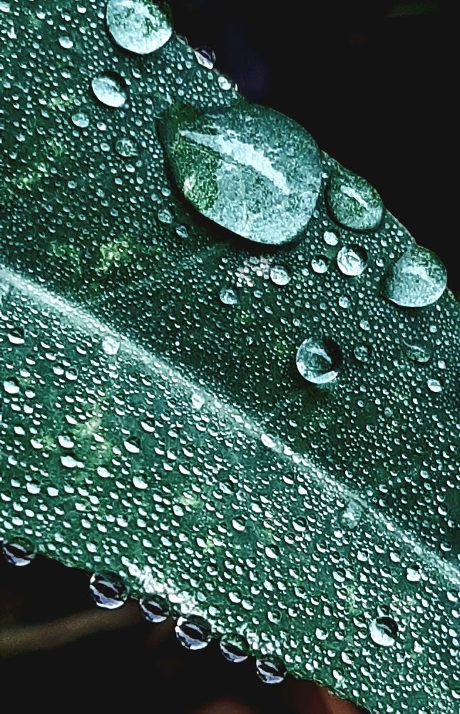 Photograph by Ольга Александрова