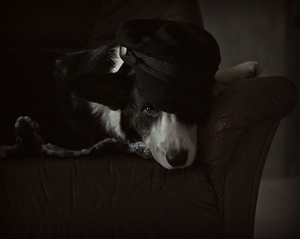 Дело в шляпе.