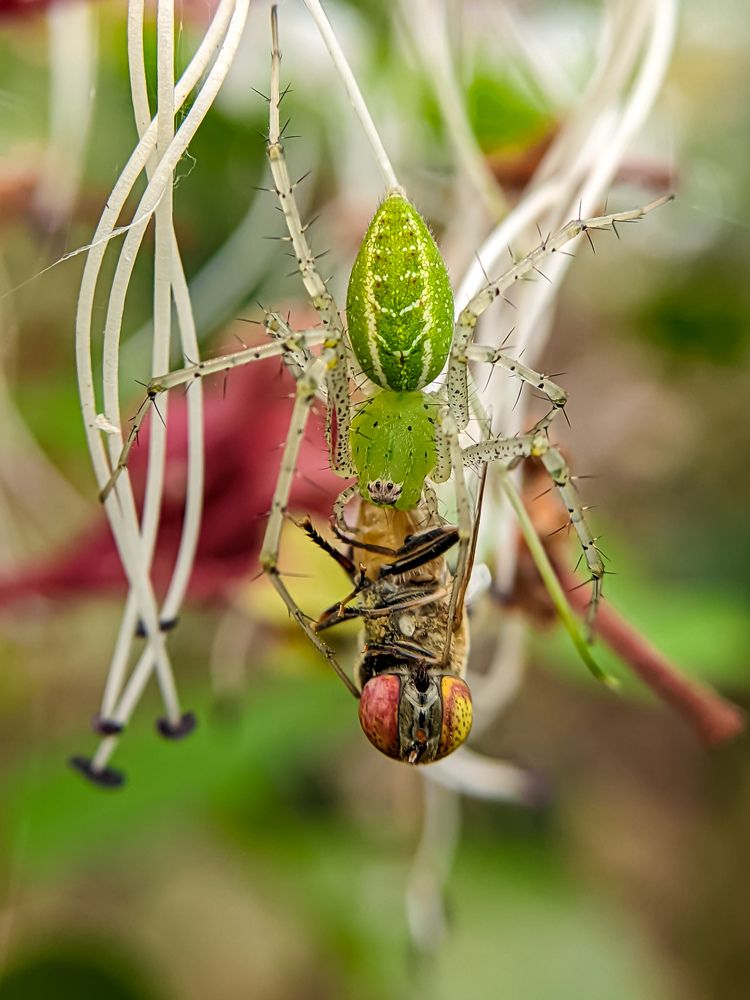 Photograph by Abir Hazra