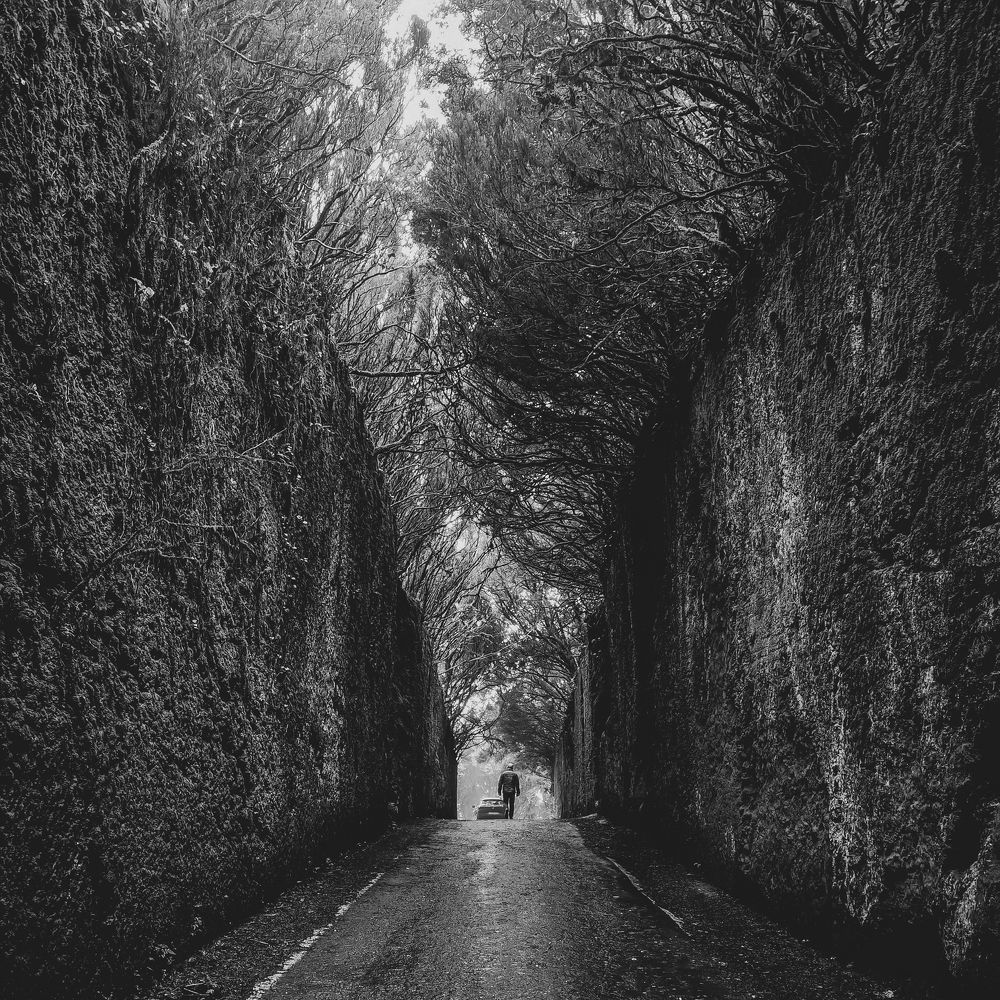 Photograph by Aleksandr Lazovik