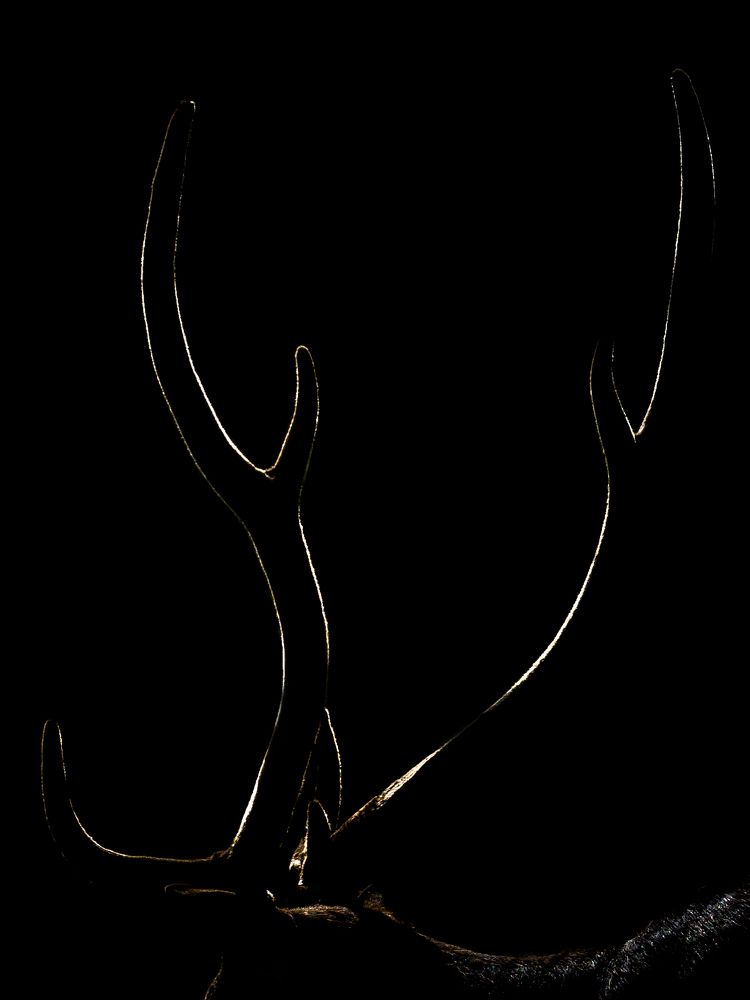 Photograph by Puja Dey