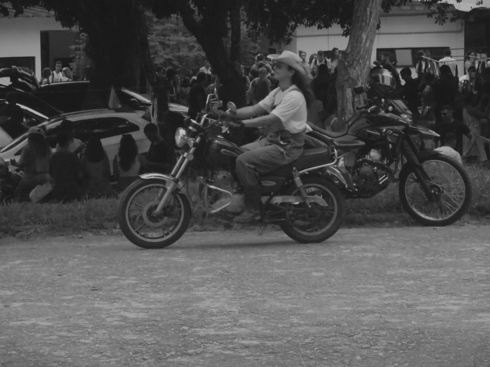 Photo #9018940