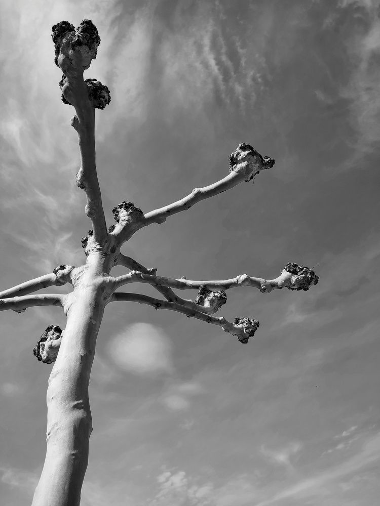 Photograph by Olga Gorokhova