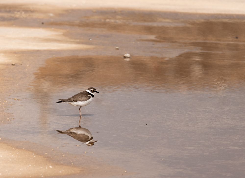 Photograph by Mahmut YILMAZ