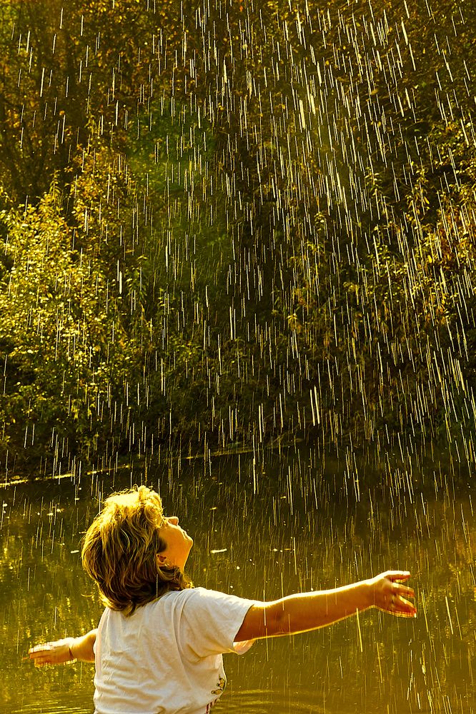 Золотой дождь