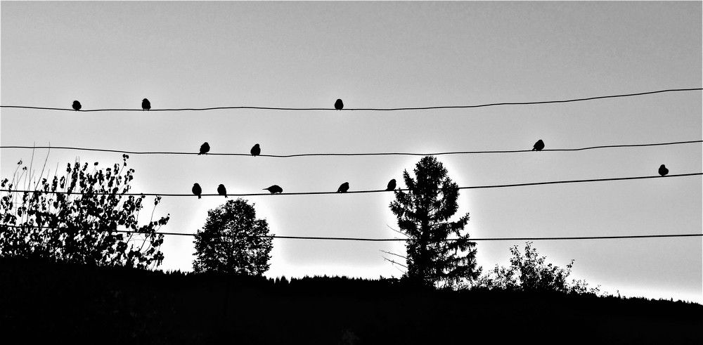 Photograph by Николай Худяков