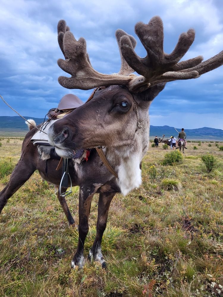 Photograph by Надежда Панкратова