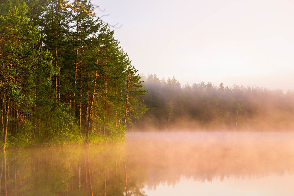 Photograph by Андрей Епишев