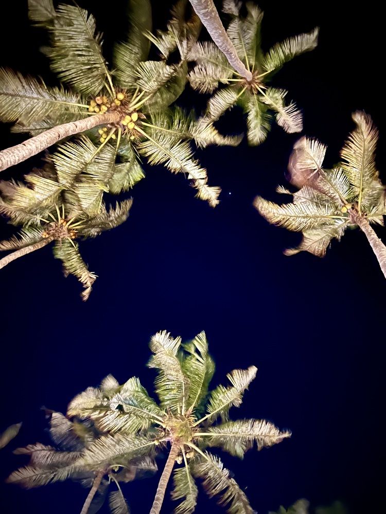 Photograph by Алексей Шаскольский