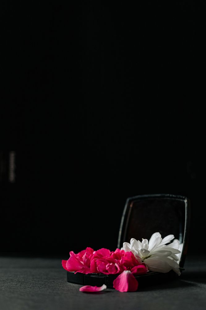 Фотография автора Лукашенко Ольга