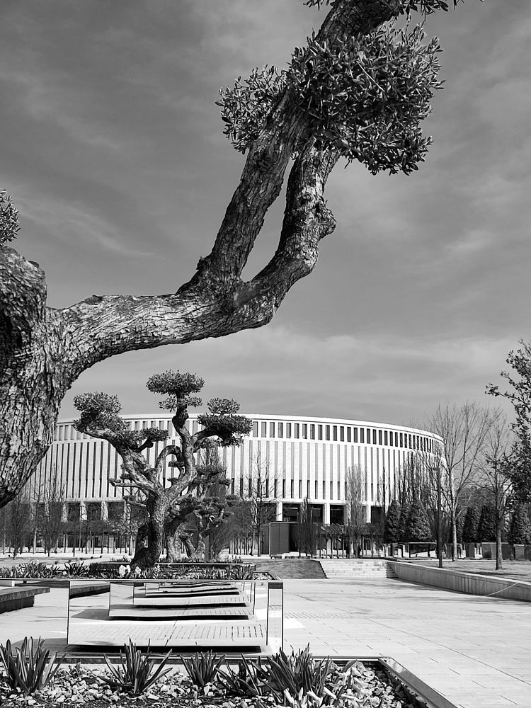 Photograph by Татьяна Долгушева