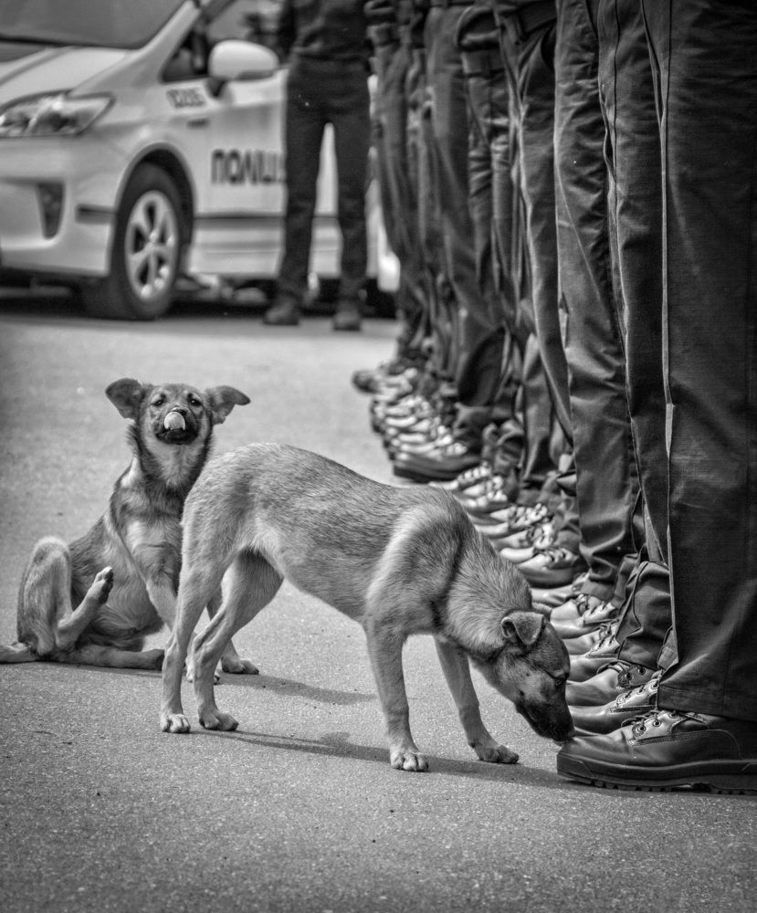 Photograph by Игорь Квочка