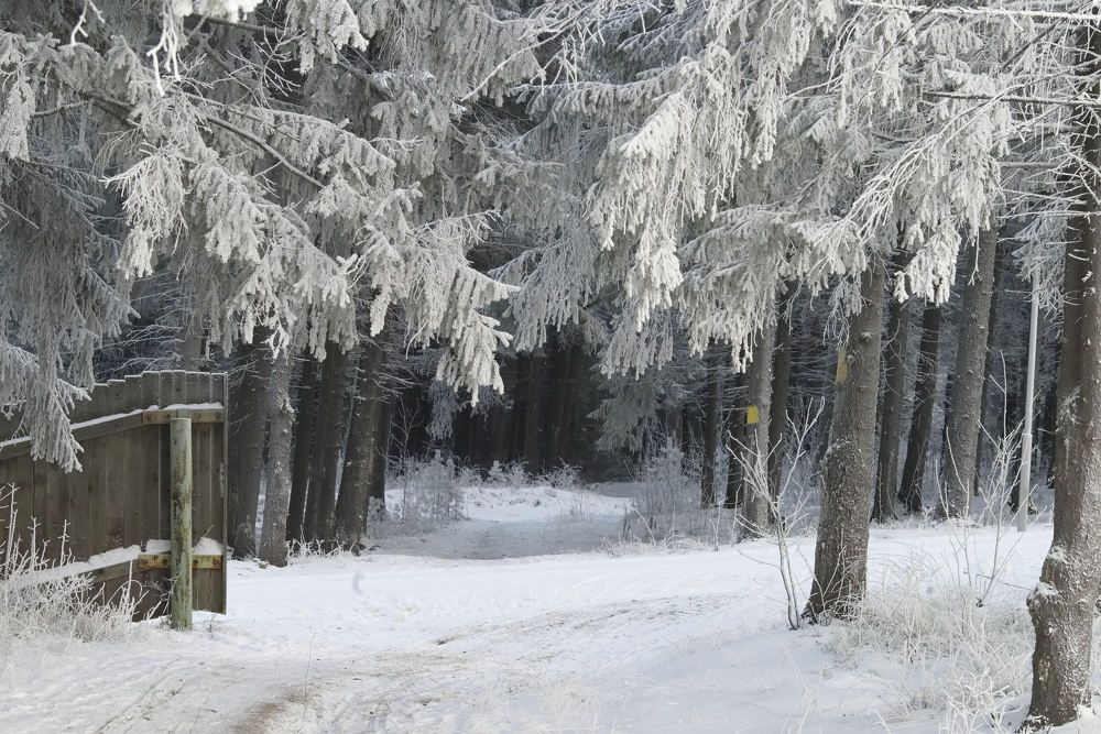 Photograph by Dim Р