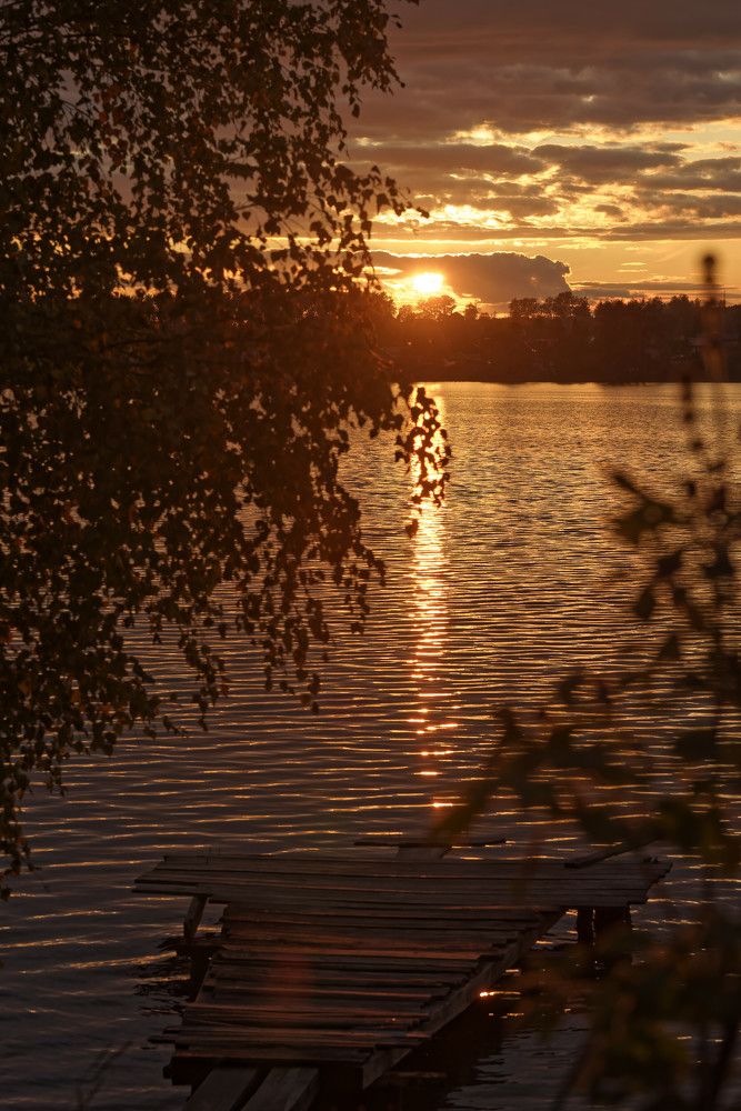 Photograph by Dim Р