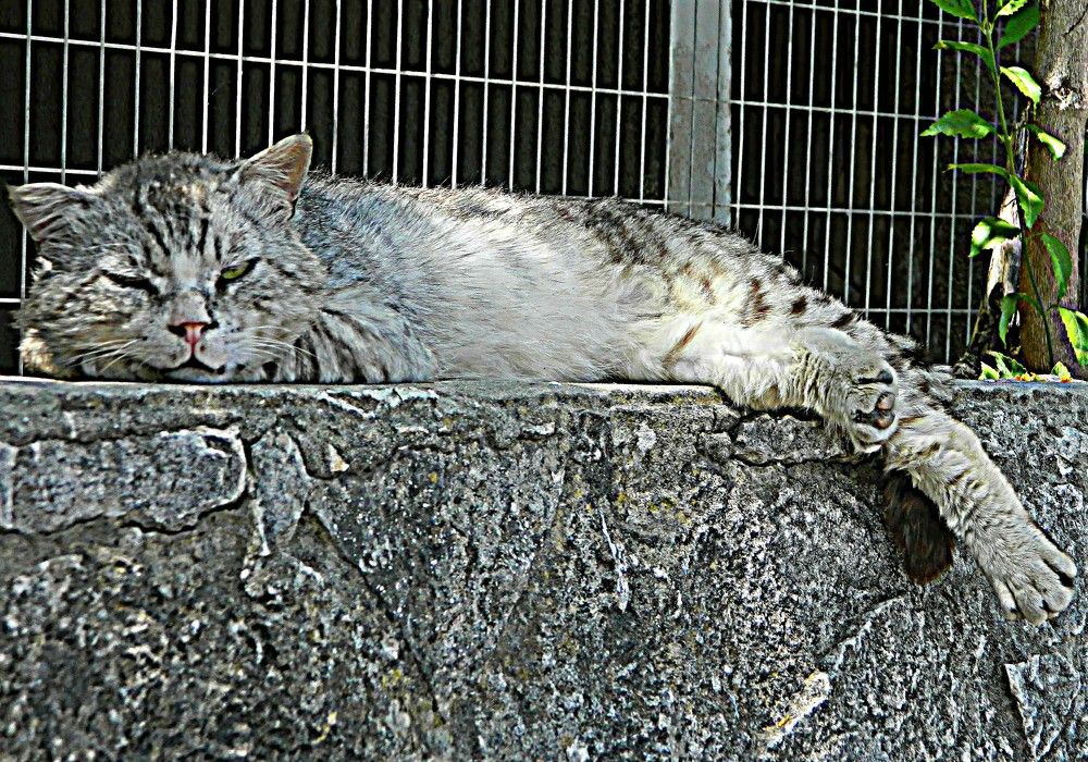 Photograph by Сергей Рапопорт