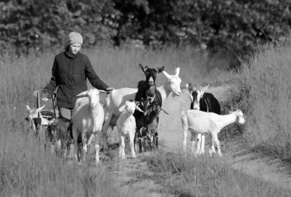 Photograph by Андрей