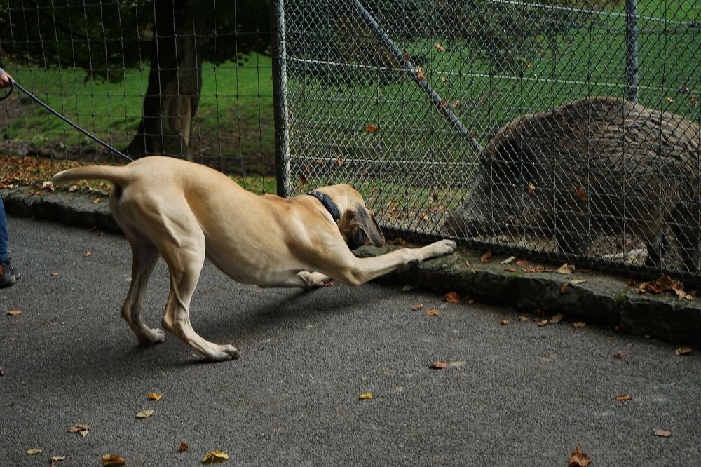 Photograph by Диана Ульянцева