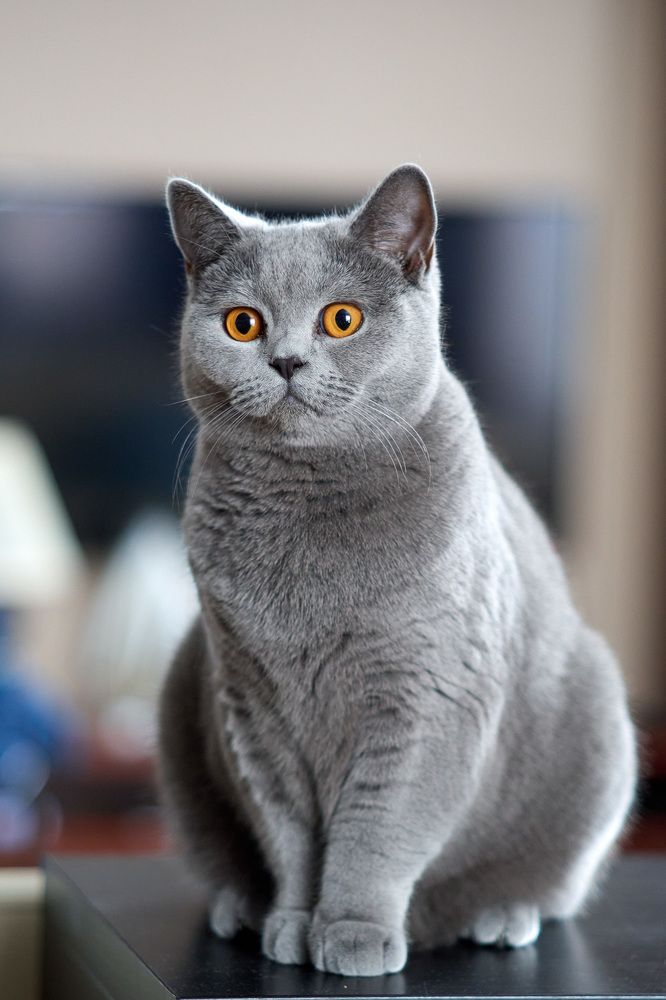 Photograph by Александр Максимов