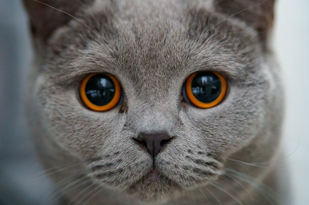 Photograph by Александр Максимов