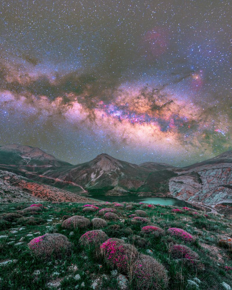 Photograph by Mohsen Sadeghi