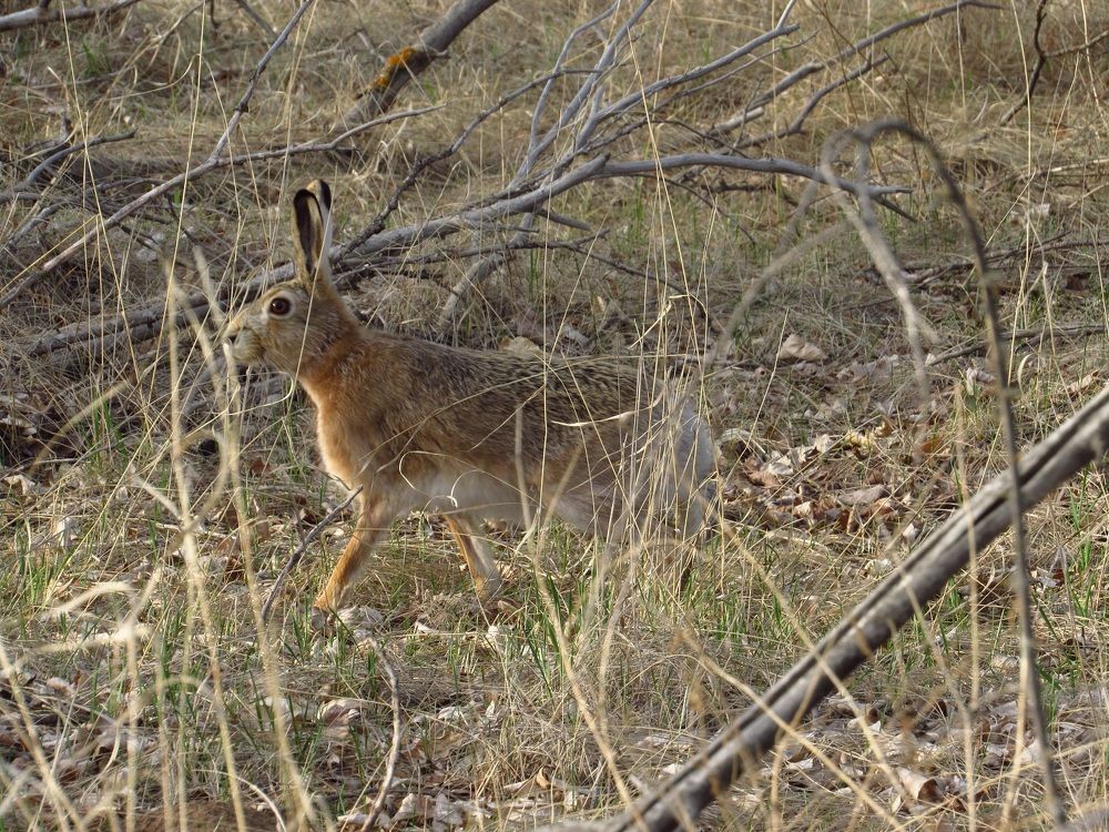 Photograph by Денис Веску
