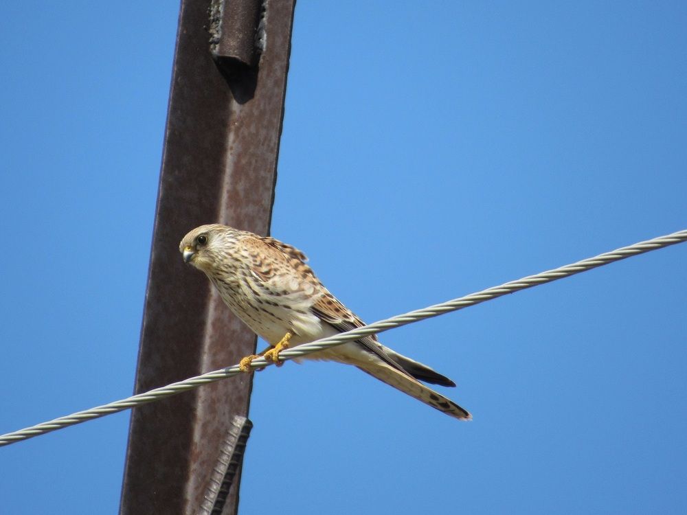 Photograph by Денис Веску