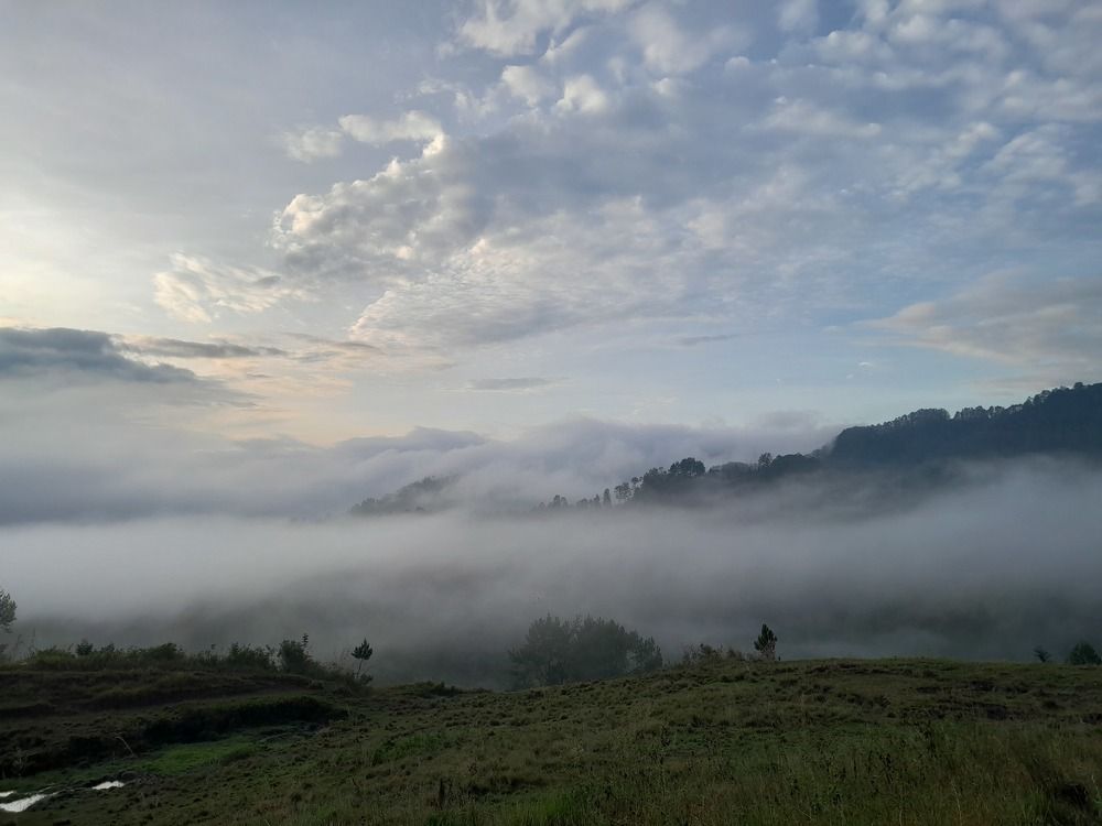 Mending Hope From Wilderness