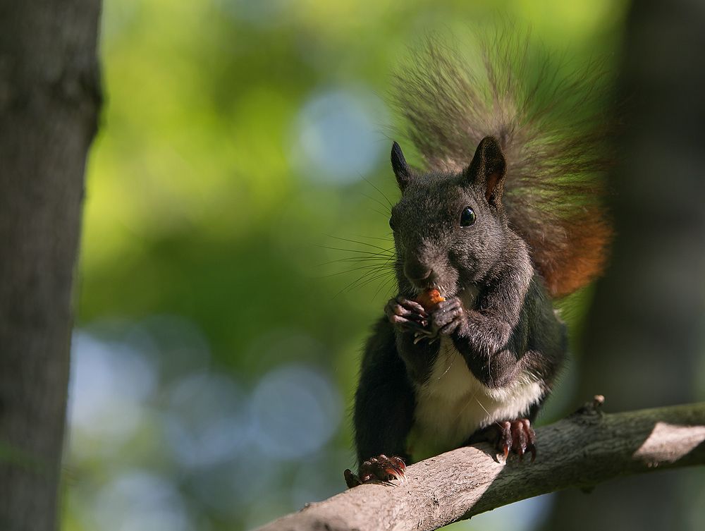 Photograph by Сергей Бойко