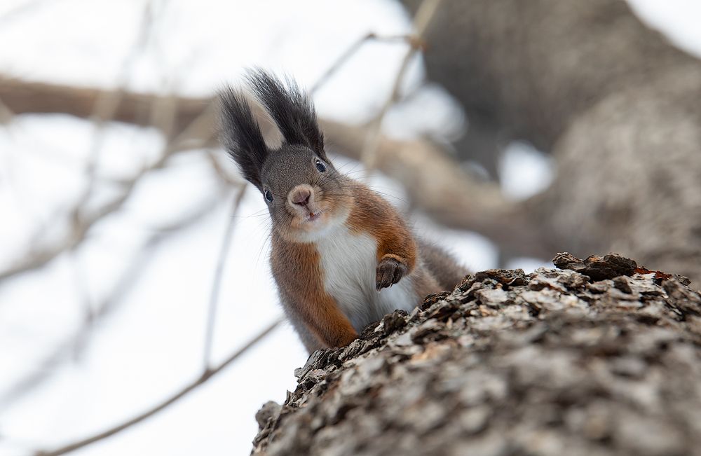 Photograph by Сергей Бойко