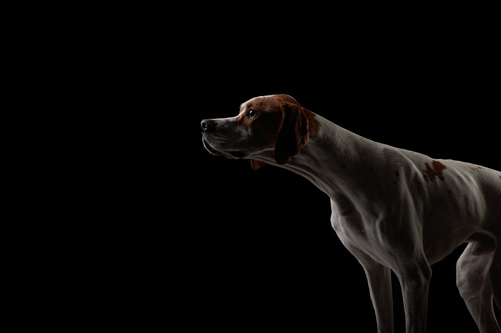 Photograph by Лана Полякова