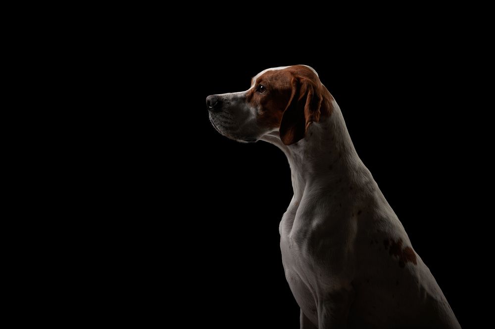 Photograph by Лана Полякова