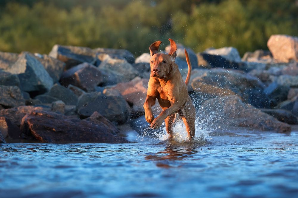 Photograph by Лана Полякова