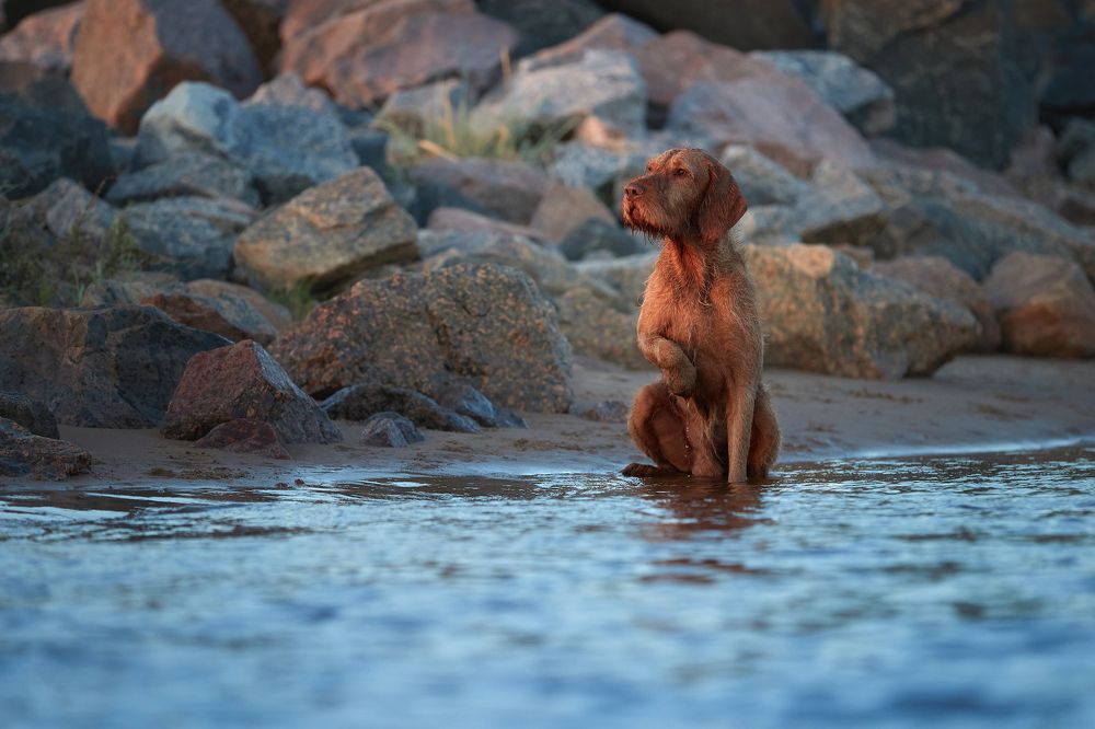 Photograph by Лана Полякова