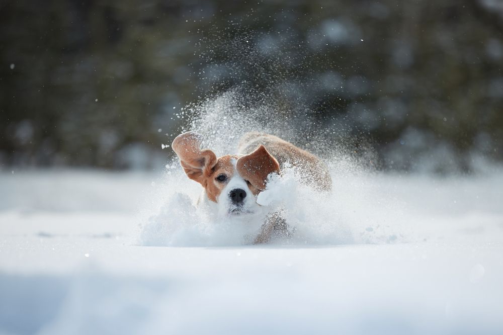 Photograph by Лана Полякова