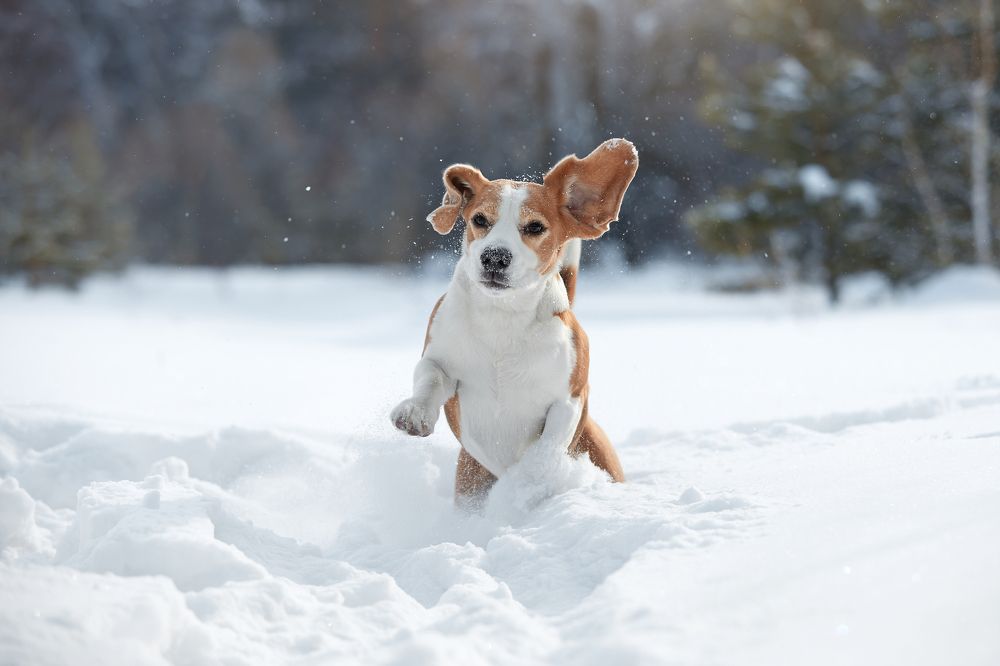 Photograph by Лана Полякова