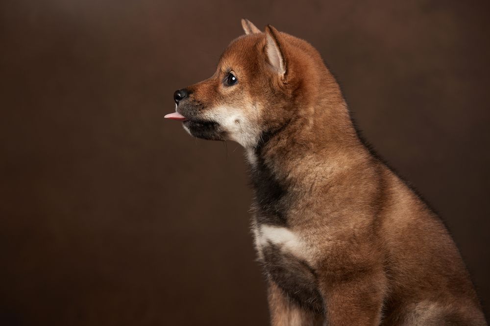 Photograph by Лана Полякова