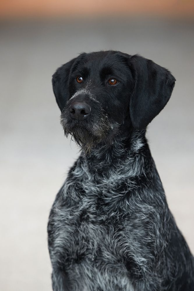 Photograph by Лана Полякова