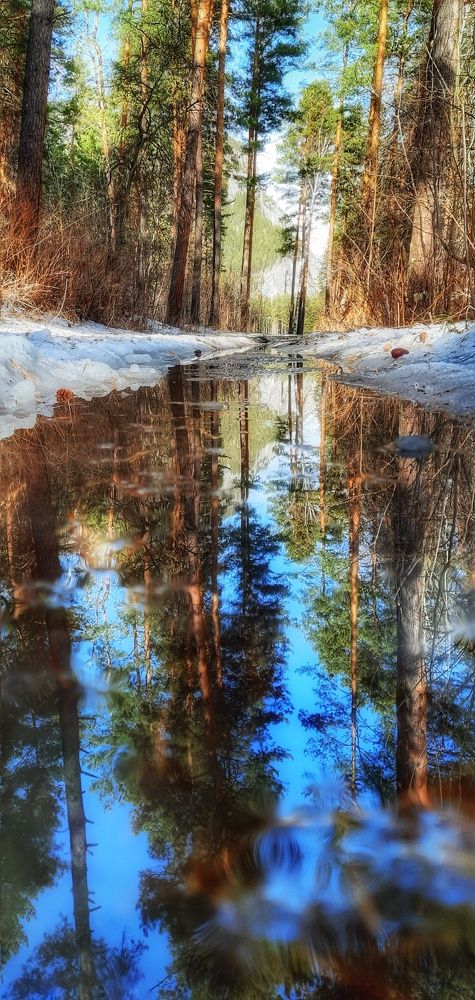 Photograph by Анна