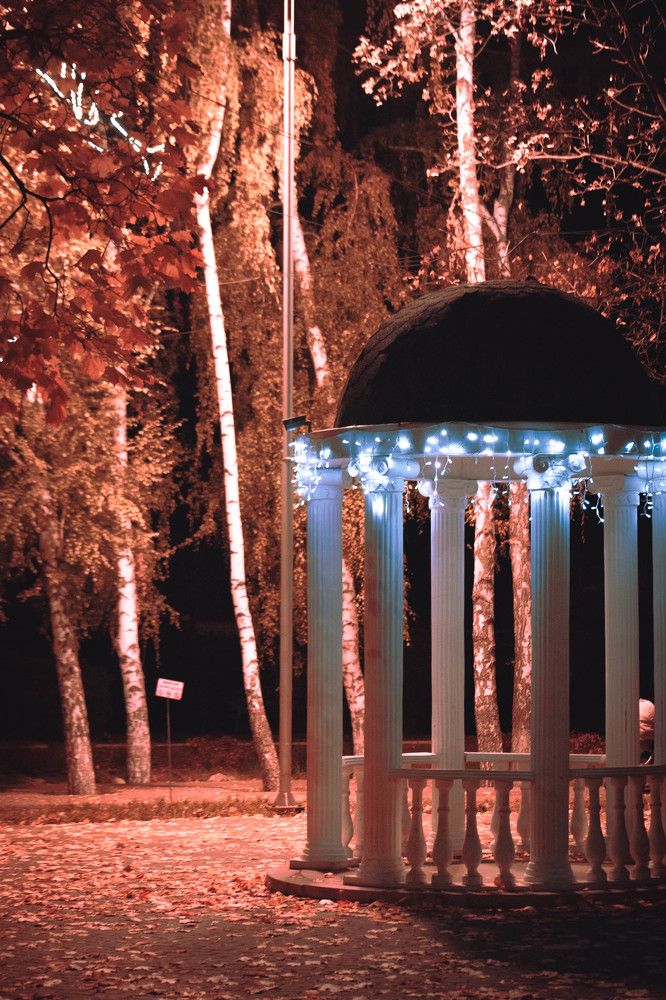 Фотография автора Миша Тараниченко