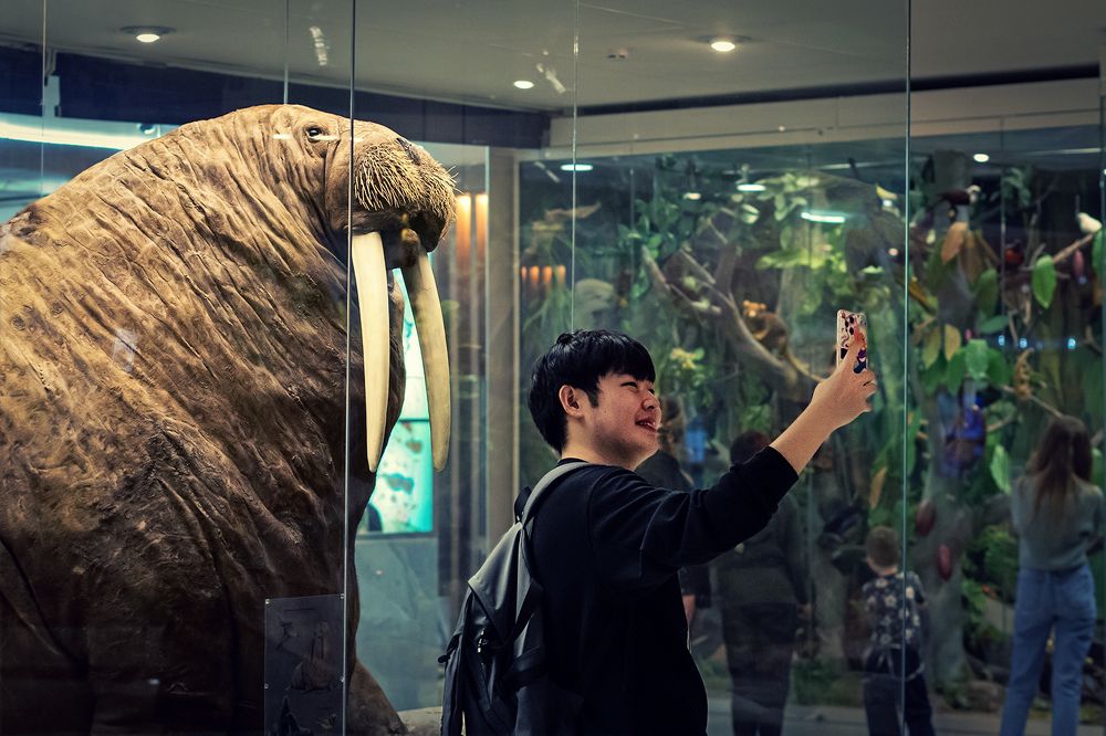 Фотография автора Konstantin