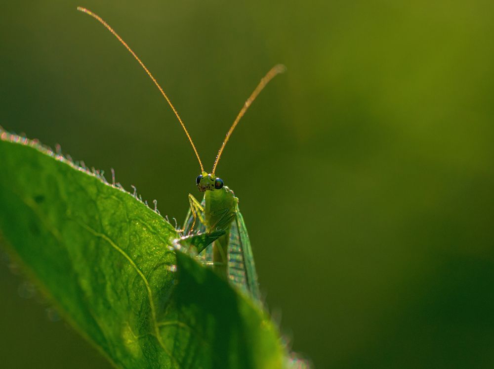 Photograph by Андрей Бурда