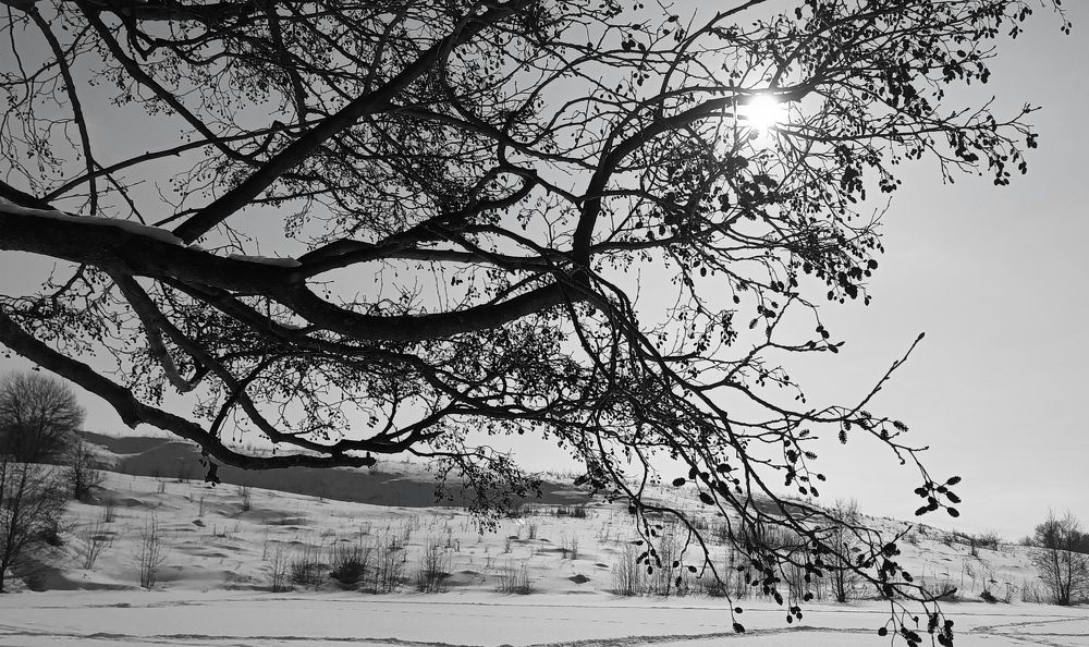 Photograph by Ольга Козлова